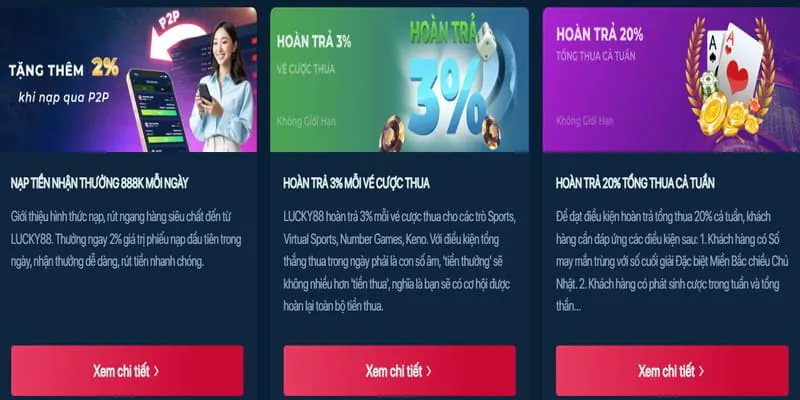 Hoàn Trả Cược Thua Tân Thủ